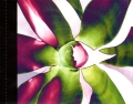 Exciter