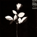 Violator