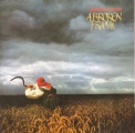 A Broken Frame