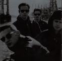 Violator