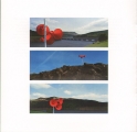Music For The Masses (CD + DVD)