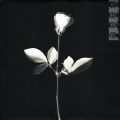 Violator