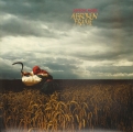 A Broken Frame