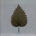Freelove (Limited)