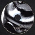 Fault Lines¹