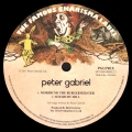 Peter Gabriel (1)