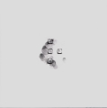 Anti