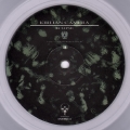 Eclipse - Das schwarze Denkmal (Clear)