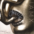 Fault Lines¹