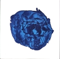 Substance (Red / Blue)