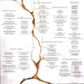 Fault Lines² (Gold White)