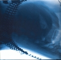 Virgin (Picture Disc)
