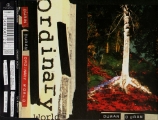 Ordinary World