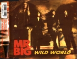 Wild World
