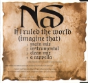 If I Ruled The World