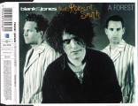 A Forest feat. Robert Smith