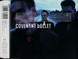 Bullet