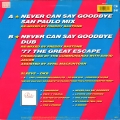 Never Can Say Goodbye (Remix)