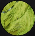I Believe In You (Picture Disc)