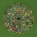 Birds Of A Feather (Green)