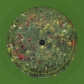 Birds Of A Feather (Green)